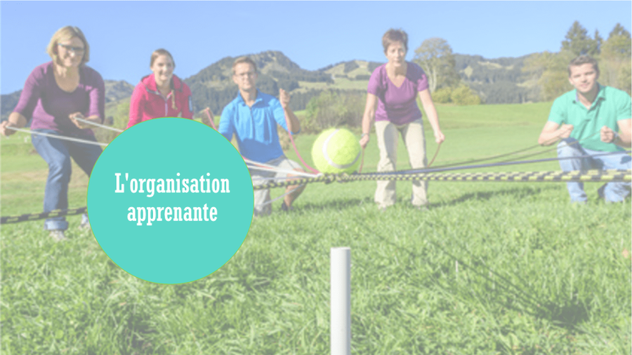 organisation apprenante